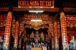 Thơ: Áo Nâu ra đảo