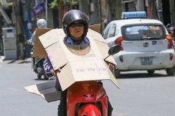 Mùa hè năm nay sẽ nắng nóng gay gắt hơn
