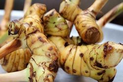 Chỉ với 1 củ riềng, đau dạ dày kinh niên cũng khỏi hẳn sau 3 ngày, người già - trẻ nhỏ đều cần