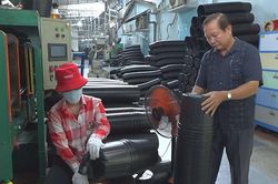 Năm 2022, Hợp tác xã Hoa kiểng Tân Dương đạt tổng doanh thu trên 21,5 tỷ đồng