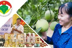 Nâng tầm nông sản Lào Cai: Nhìn từ một cuộc vận động