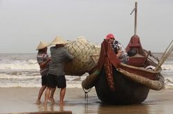 Kinh tế Kinh tế Không đánh bắt hải sản lúc biển động