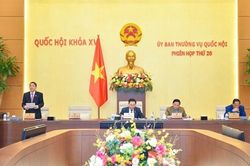 Bảo vệ người tiêu dùng nhưng không được làm phương hại đến lợi ích các tổ chức, cá nhân khác