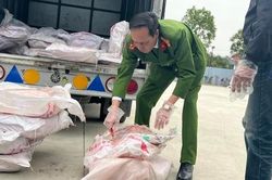 Thu giữ số lượng lớn nầm lợn bẩn