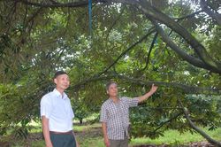Cựu chiến binh làm kinh tế giỏi
