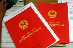 Sổ đỏ giả và những chiêu lừa tinh vi