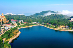 Bức tường lá đỏ chùa Vạn Linh