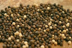 Thị trường hồi phục, giá tiêu chạm mốc 65.000 đồng/kg