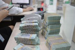 Vì sao chất lượng tài sản ngân hàng suy giảm?