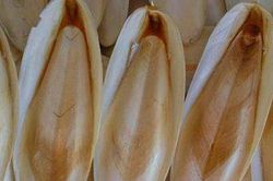 Cách sử dụng mai mực hỗ trợ chữa đau dạ dày