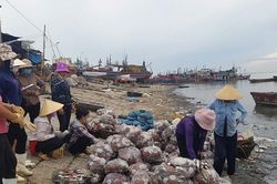 Nan giải xử lý rác từ biển