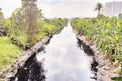 Cải tạo, chỉnh trang tuyến kênh Tham Lương-Bến Cát-rạch Nước Lên