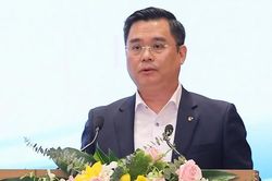Tổng giám đốc Vietcombank: Chúng tôi không hạn chế cấp tín dụng cho bất động sản, nhưng doanh nghiệp phải hạ giá xuống!