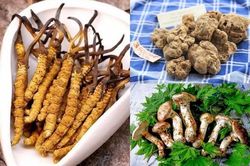 3 loại nấm đắt đỏ nhà giàu chi 'núi tiền' thưởng thức