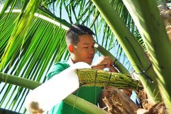 Vươn ra toàn cầu bằng tài nguyên bản địa