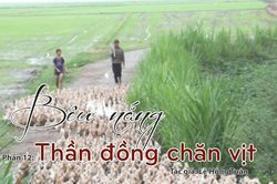 Tạp văn: Bêu nắng (Lê Hồng Tuân) - Phần 12: Thần đồng chăn vịt