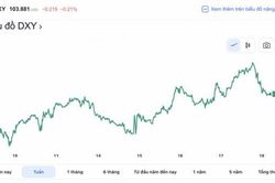 Tỷ giá USD hôm nay 18/2: Đồng USD trượt dốc sau cú bật tăng mạnh