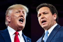 Ông Trump: Tôi sẽ không gọi DeSantis là 'Ron thịt viên'