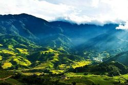 Thung Mây