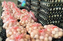 Giá trứng, gia cầm giảm mạnh tại các chợ truyền thống Hà Nội