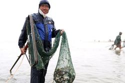 Buộc dây thừng vào bụng, ngư dân Hà Tĩnh ngâm mình trong nước lạnh vớt 'lộc biển'