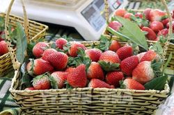Thành phố Nonsan, Hàn Quốc mở Văn phòng Thương mại tại Việt Nam