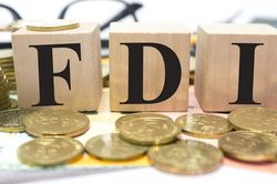 'Đại bàng' FDI báo lỗ triền miên
