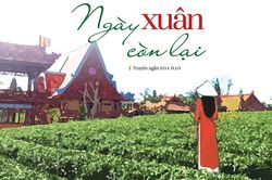 Ngày xuân còn lại