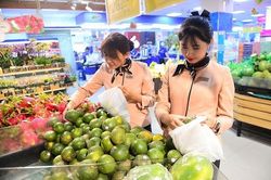 Saigon Co.op ''giải cứu'' cam sành Vĩnh Long