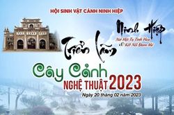 Ấn tượng Triển lãm Cây cảnh Nghệ thuật Ninh Hiệp 2023