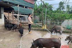 Tín dụng chính sách - 'Trợ lực' để khôi phục và phát triển kinh tế