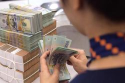 Trước 28/2, Ngân hàng Nhà nước địa phương phải báo cáo tình hình kết nối và tháo gỡ khó khăn tiếp cận vốn của doanh nghiệp