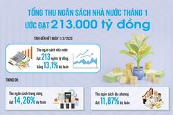 Điều hành chính sách tài khóa thích ứng với bối cảnh mới
