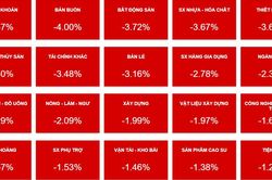 VN-Index rũ sạch thành quả, HQC khớp lệnh gần 11% cổ phiếu lưu hành