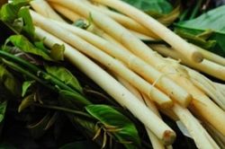 Thưởng thức đặc sản rừng Cát Tiên