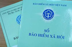 Sumi Hanel, Vinhomes, Giao hàng Tiết kiệm nợ hàng chục tỷ đồng tiền bảo hiểm