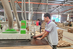 Tái sử dụng phế liệu trong chế biến gỗ: Giúp doanh nghiệp tăng lợi nhuận