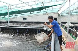 Thị xã Nghi Sơn tập trung thực hiện nhiệm vụ, giải pháp phát triển kinh tế