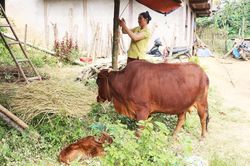 Bắc Kạn triển khai đồng bộ các chính sách về giảm nghèo