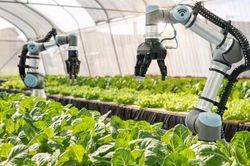 Xây dựng nền nông nghiệp bền vững không thể thiếu vai trò của khoa học công nghệ