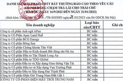 Công bố danh sách 54 doanh nghiệp 'khất nợ' trái phiếu