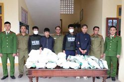 Bắt giữ nhiều đối tượng vận chuyển trái phép hàng chục kg ma túy qua địa bàn tỉnh Hà Tĩnh
