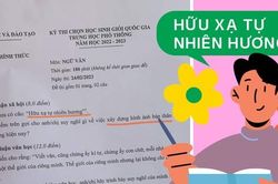 Đề thi Học sinh giỏi Quốc gia môn Ngữ Văn gần gũi nhưng không mới lạ, đòi hỏi tư duy đột phá