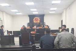 Nam thanh niên vào tù vì chiếm đoạt hơn 19,5 tỷ đồng