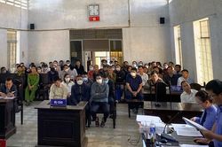 Nguyên Giám đốc Vinacafe Nam Tây Nguyên lĩnh án 10 năm tù