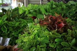 'Choáng' với thế giới rau rừng núi Cấm