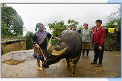 'Bảo hiểm' của người dân Mản Thẩn