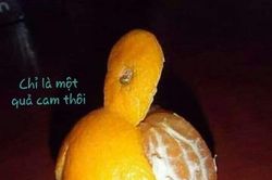 Quà biếu là bổ tất!