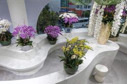 Không gian kinh doanh đầy cảm xúc