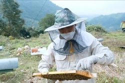 Hướng đi tiềm năng cho đồng bào vùng cao